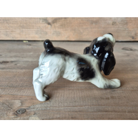 Cocker Spaniël Goebel